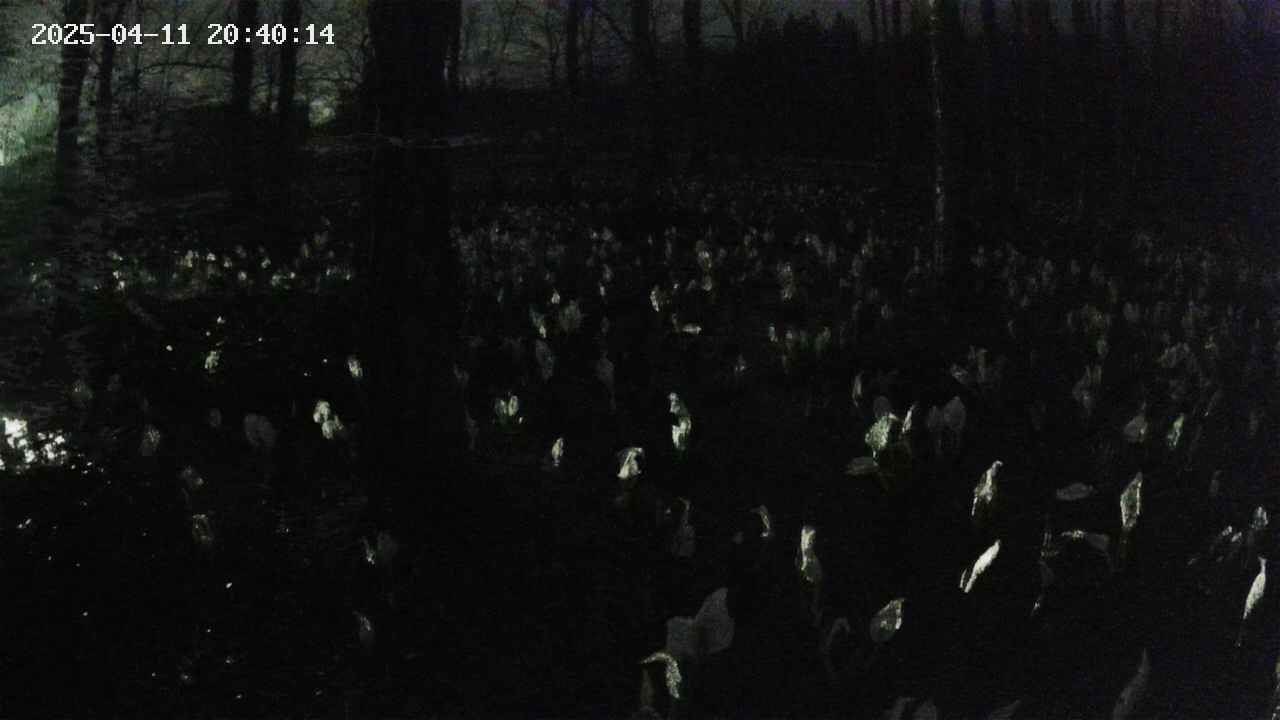 mizubasho1-20250411204015.jpg