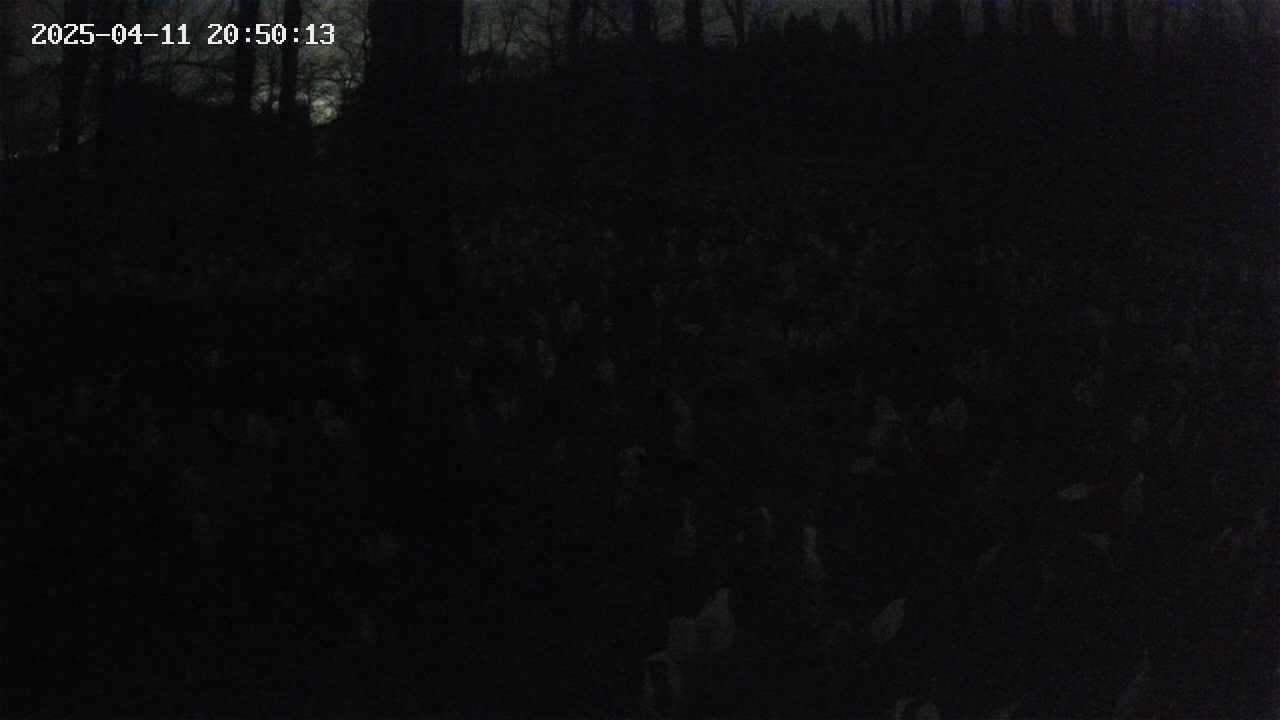 mizubasho1-20250411205014.jpg