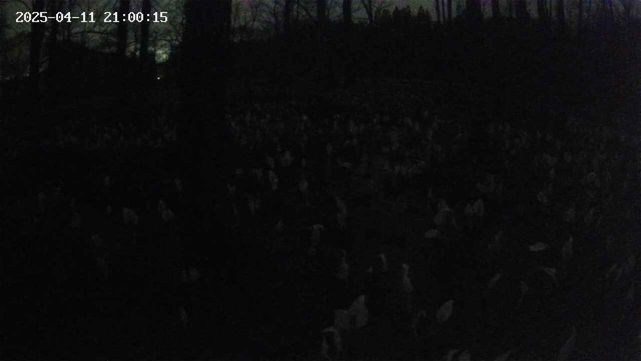 mizubasho1-20250411210016.jpg
