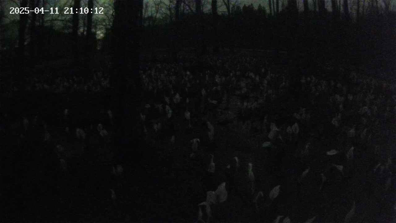 mizubasho1-20250411211013.jpg