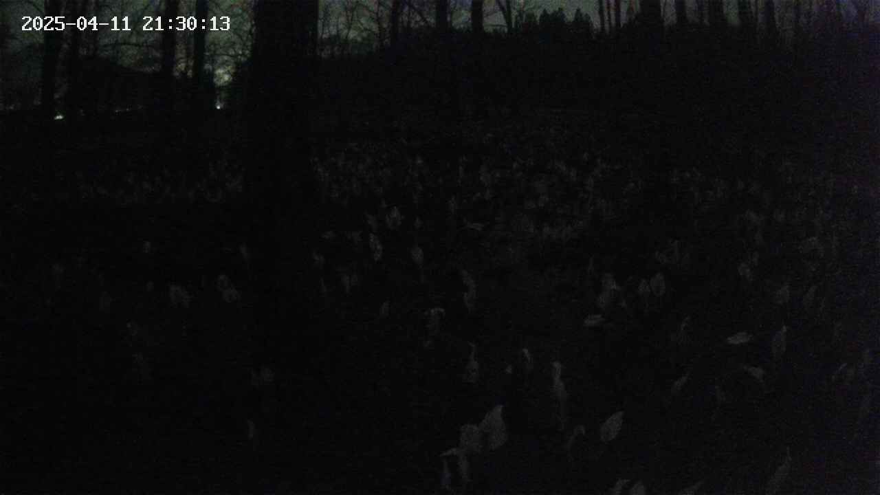 mizubasho1-20250411213014.jpg