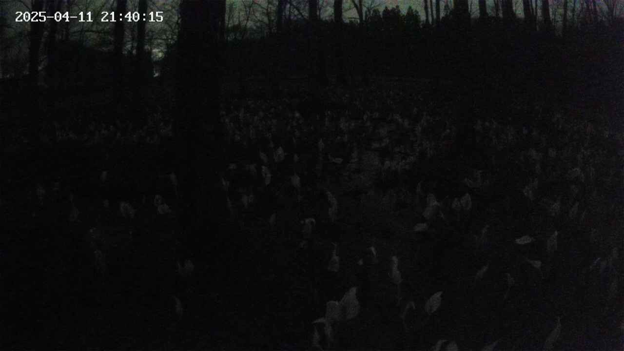 mizubasho1-20250411214016.jpg