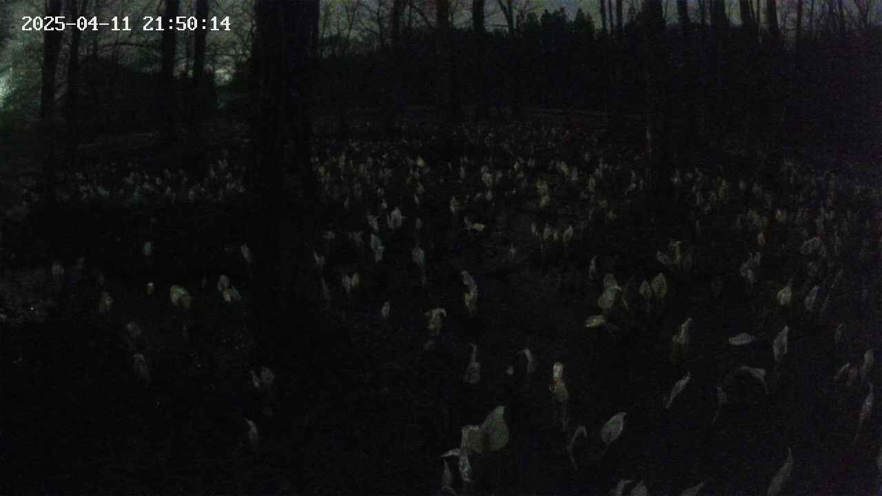 mizubasho1-20250411215015.jpg