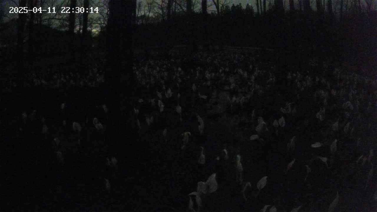 mizubasho1-20250411223015.jpg