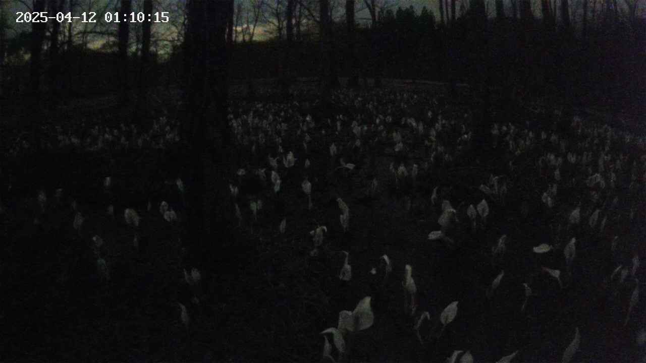 mizubasho1-20250412011016.jpg