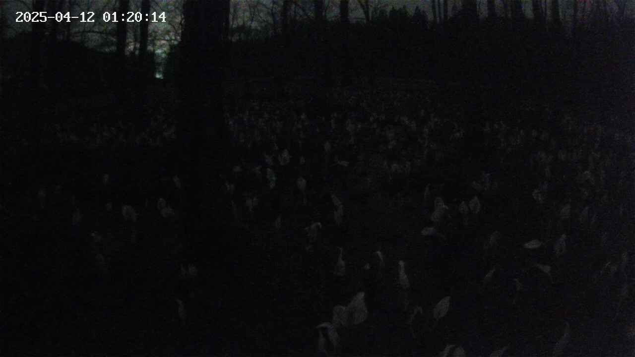 mizubasho1-20250412012015.jpg