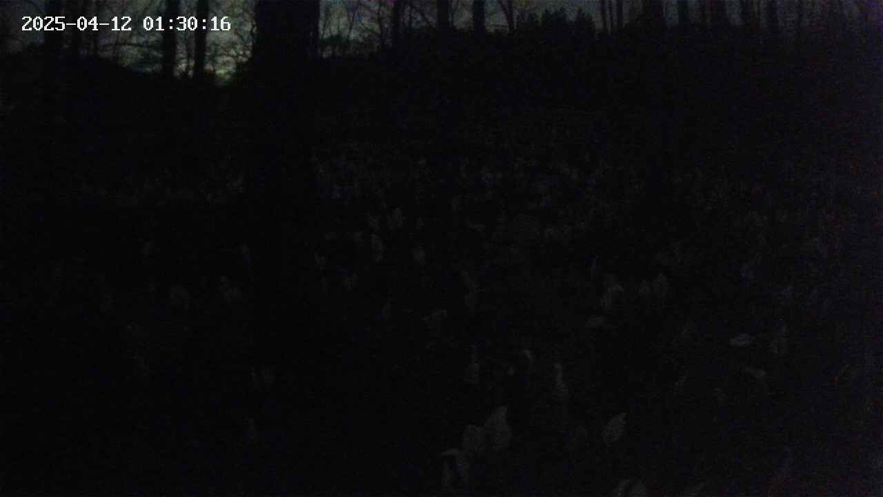 mizubasho1-20250412013017.jpg