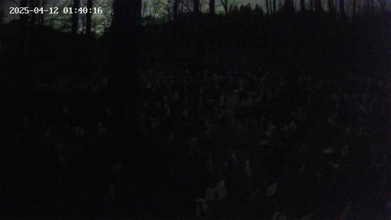 mizubasho1-20250412014017.jpg