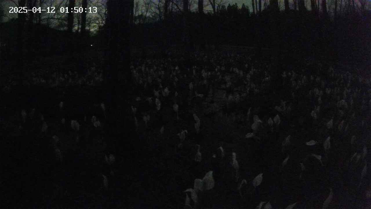 mizubasho1-20250412015014.jpg