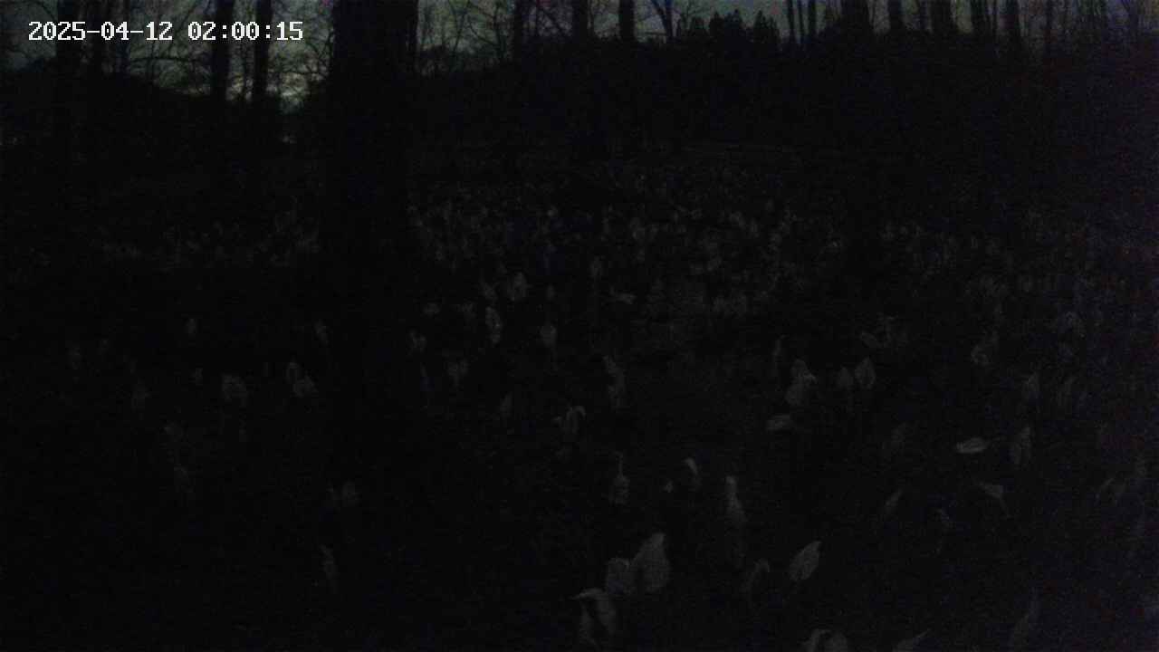mizubasho1-20250412020015.jpg