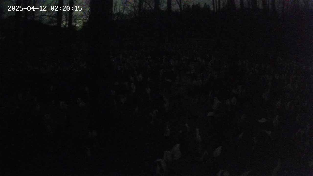 mizubasho1-20250412022016.jpg