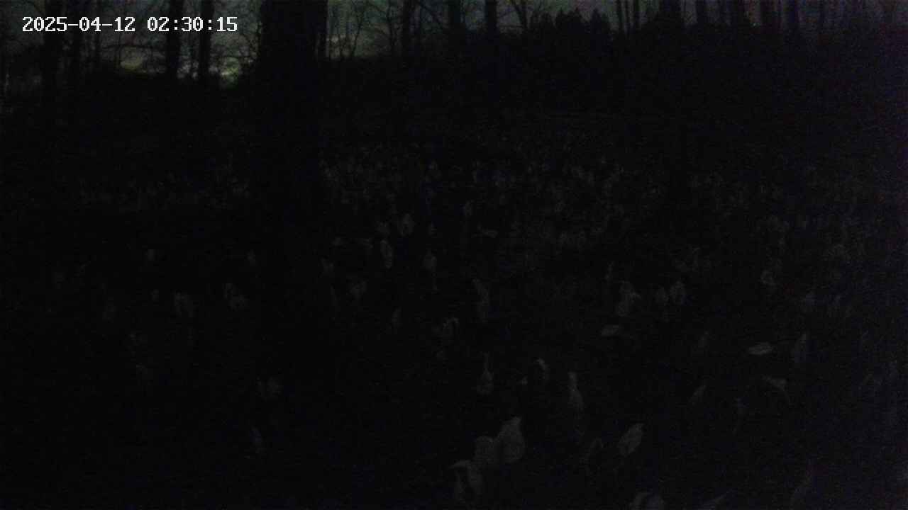 mizubasho1-20250412023016.jpg