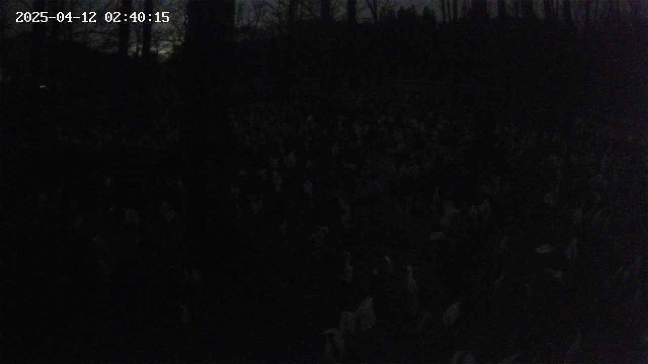 mizubasho1-20250412024015.jpg