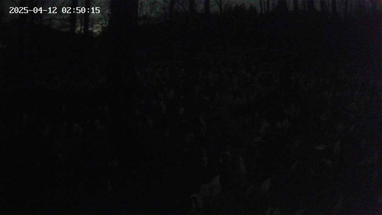 mizubasho1-20250412025016.jpg
