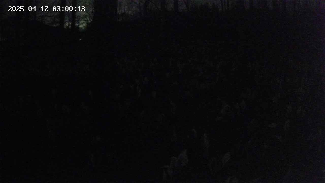 mizubasho1-20250412030014.jpg