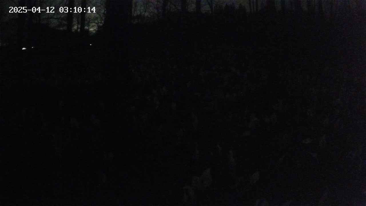 mizubasho1-20250412031015.jpg