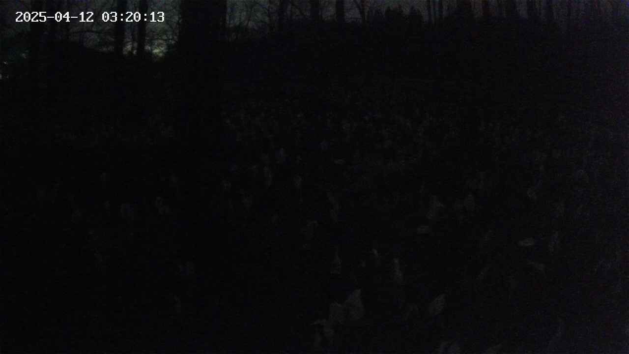 mizubasho1-20250412032014.jpg