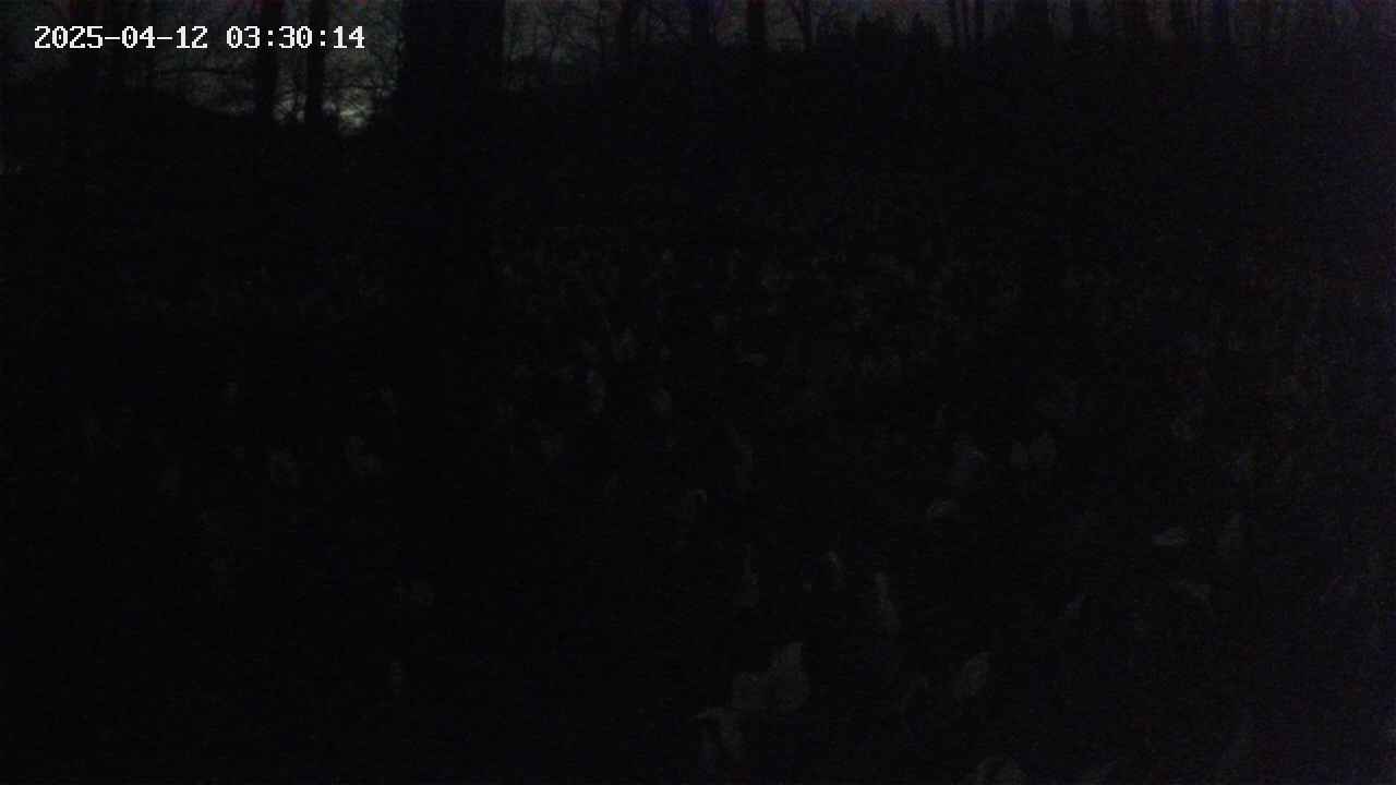 mizubasho1-20250412033015.jpg