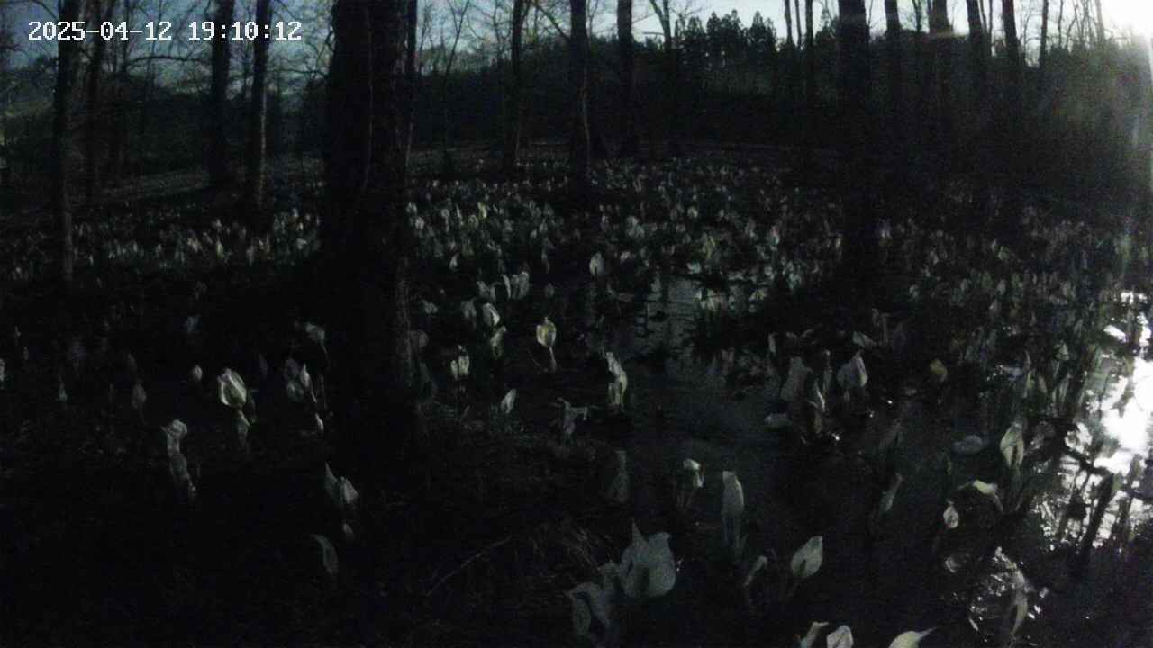 mizubasho1-20250412191014.jpg