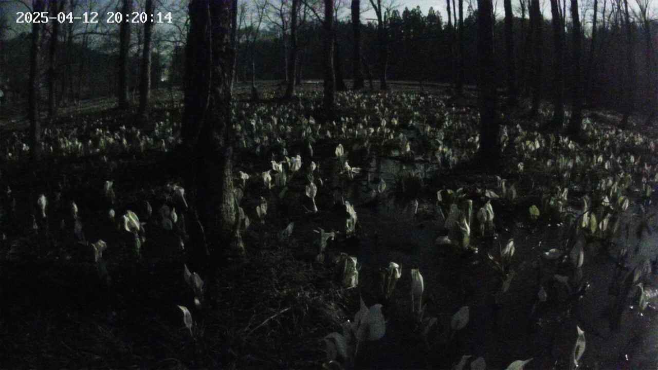 mizubasho1-20250412202015.jpg