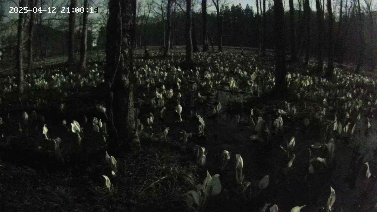 mizubasho1-20250412210016.jpg