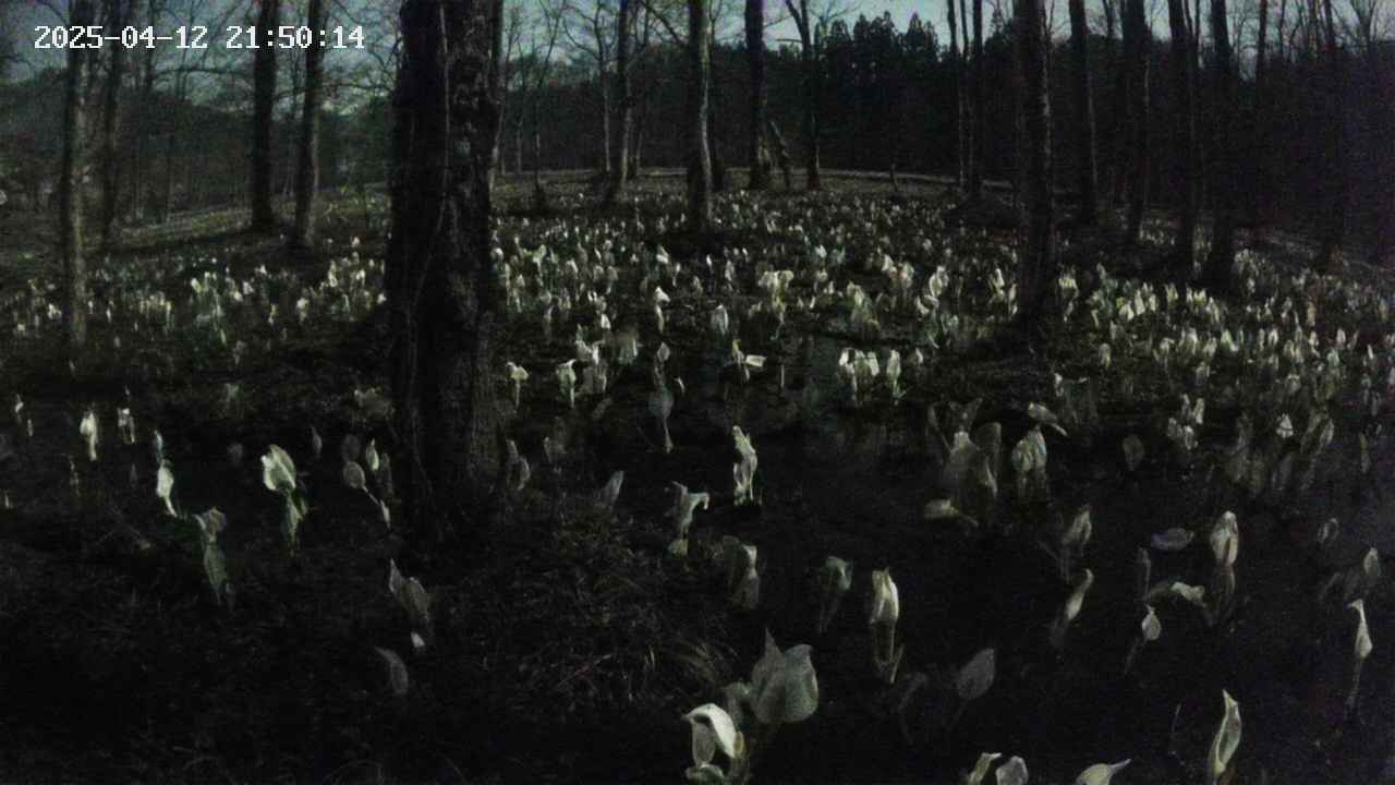mizubasho1-20250412215016.jpg