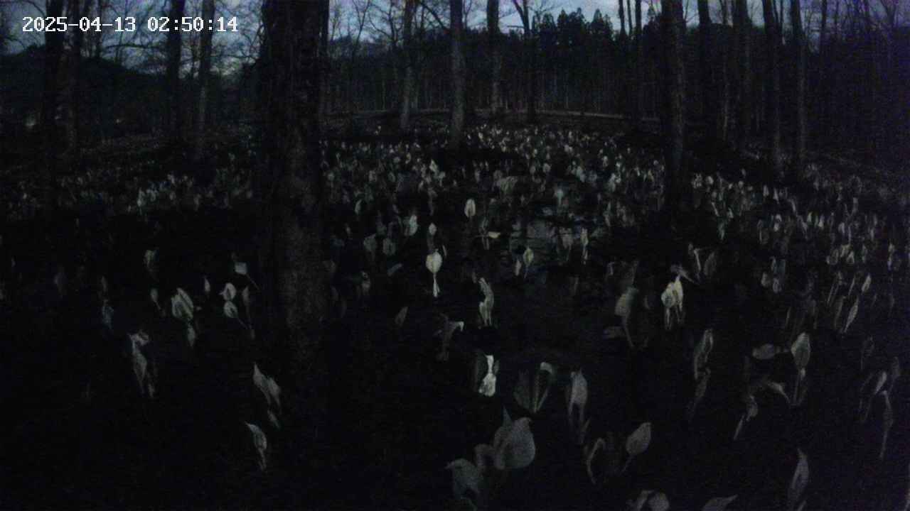 mizubasho1-20250413025015.jpg