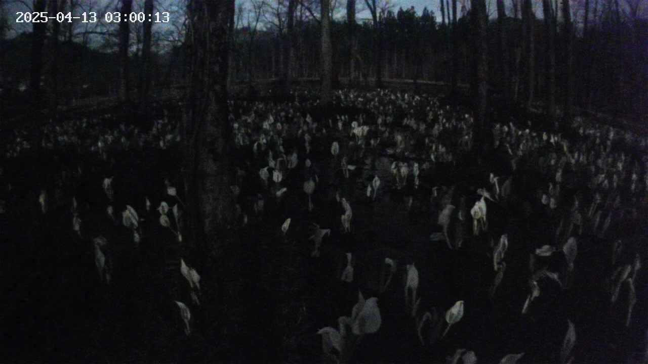 mizubasho1-20250413030014.jpg
