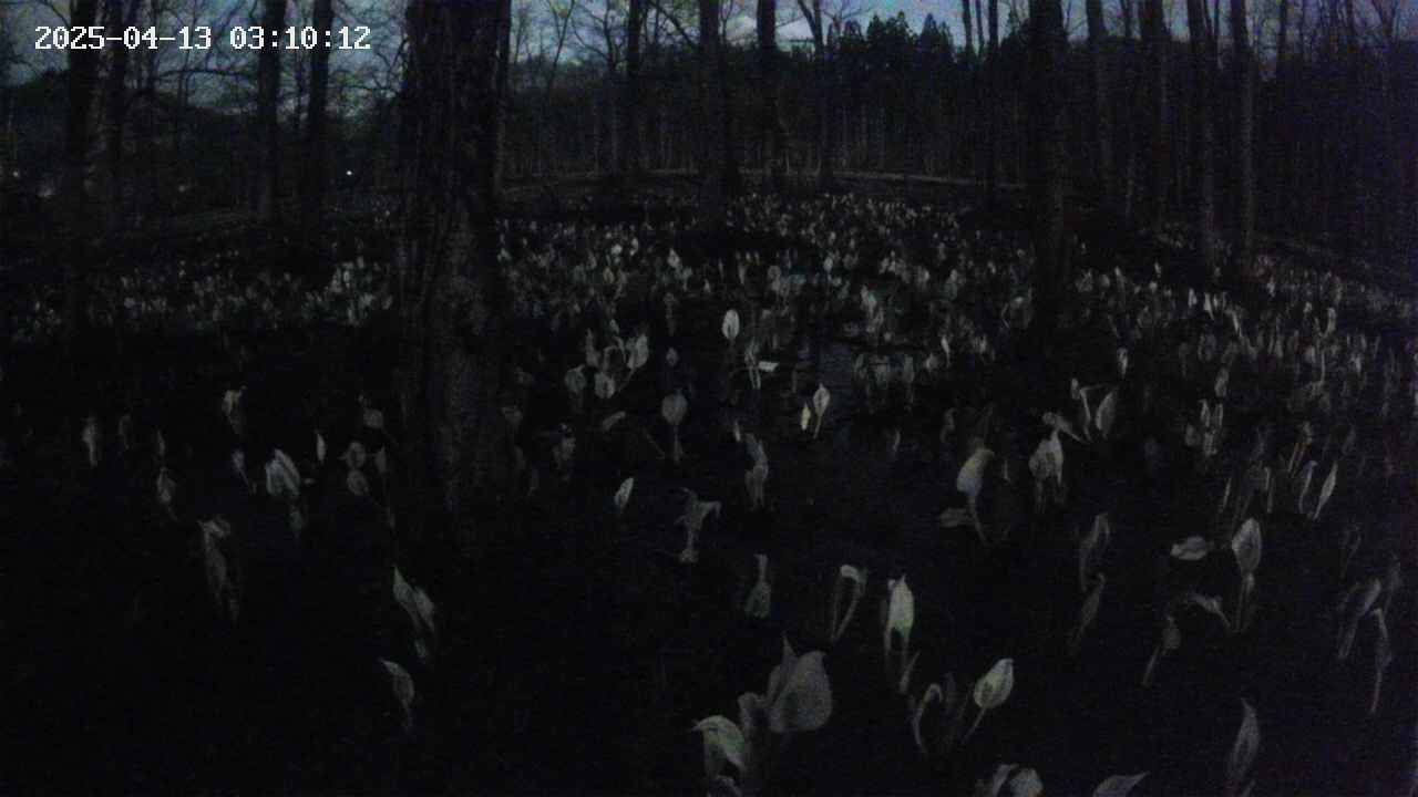 mizubasho1-20250413031013.jpg