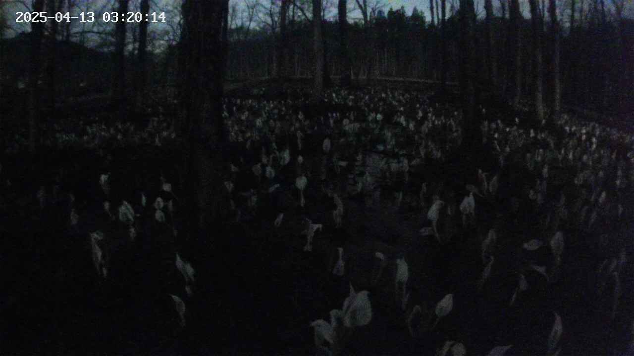 mizubasho1-20250413032015.jpg