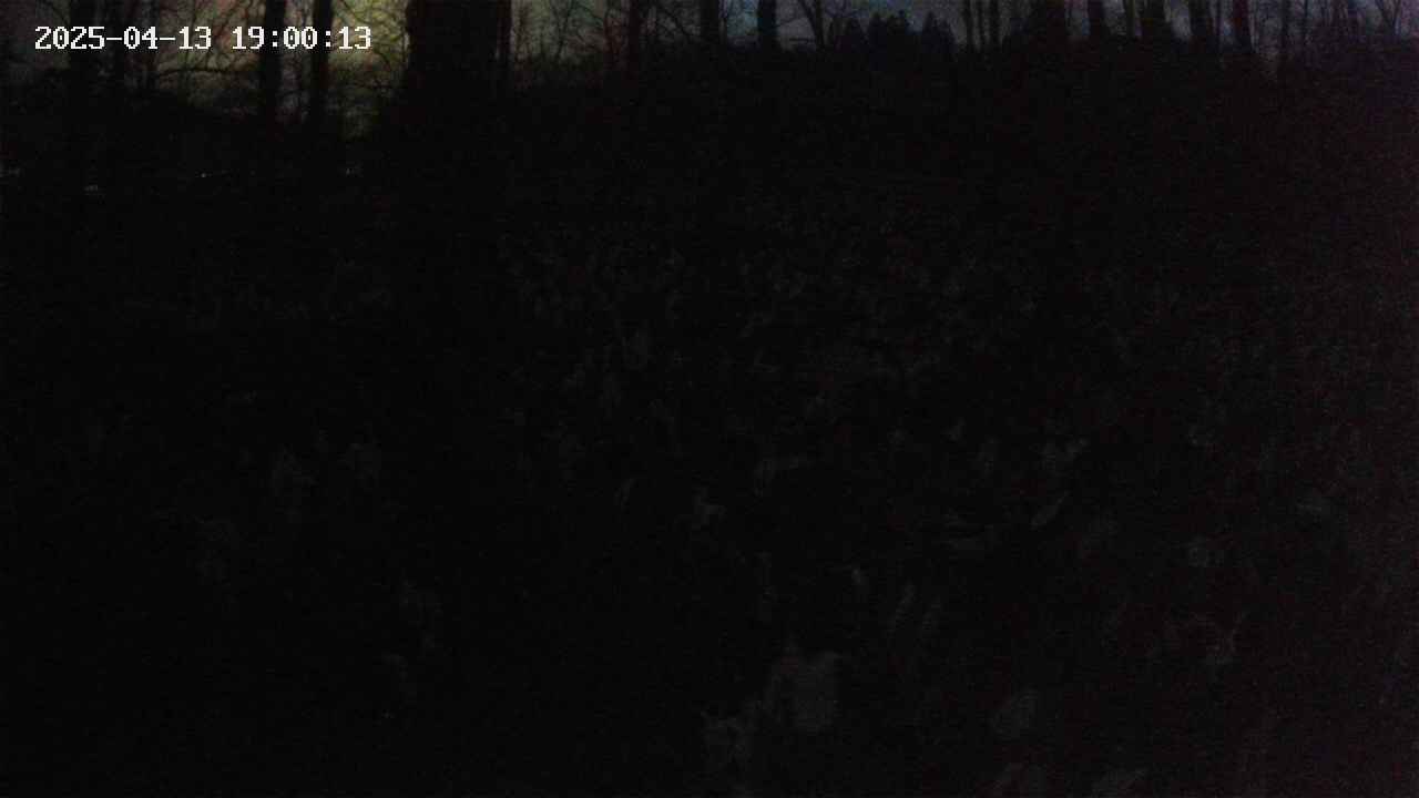 mizubasho1-20250413190014.jpg