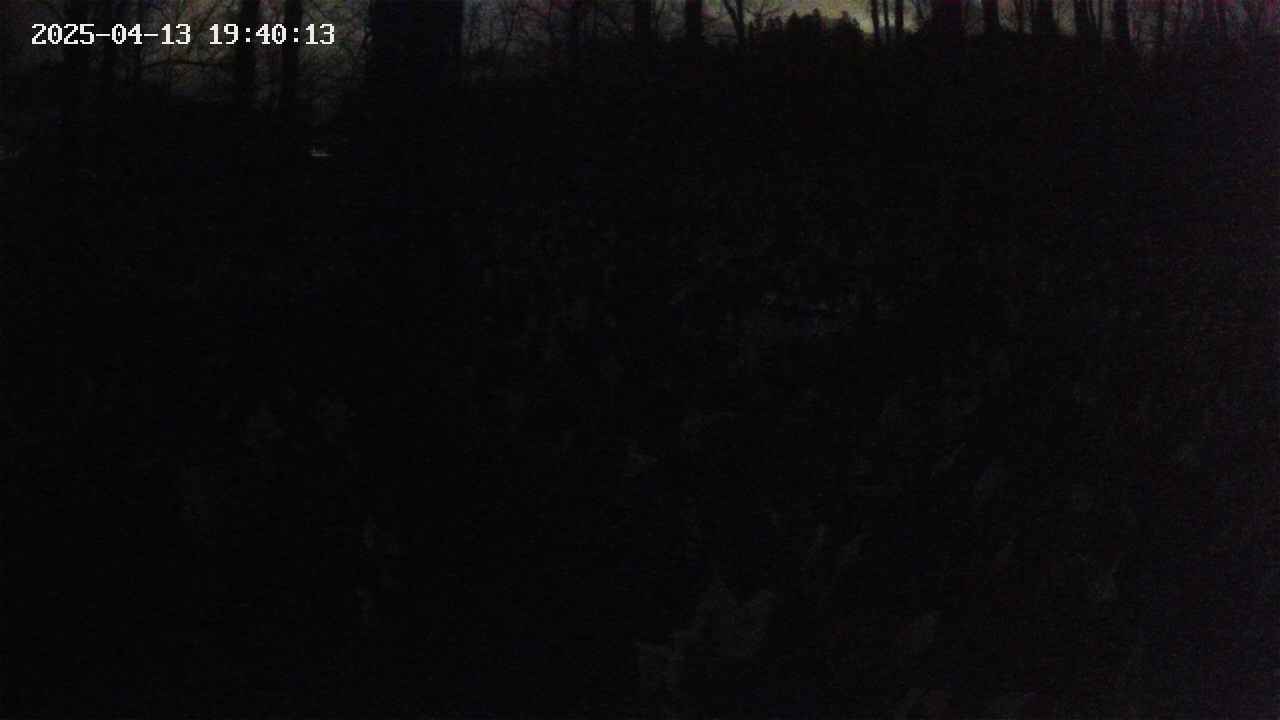 mizubasho1-20250413194014.jpg