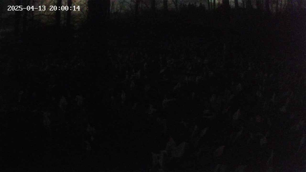 mizubasho1-20250413200015.jpg
