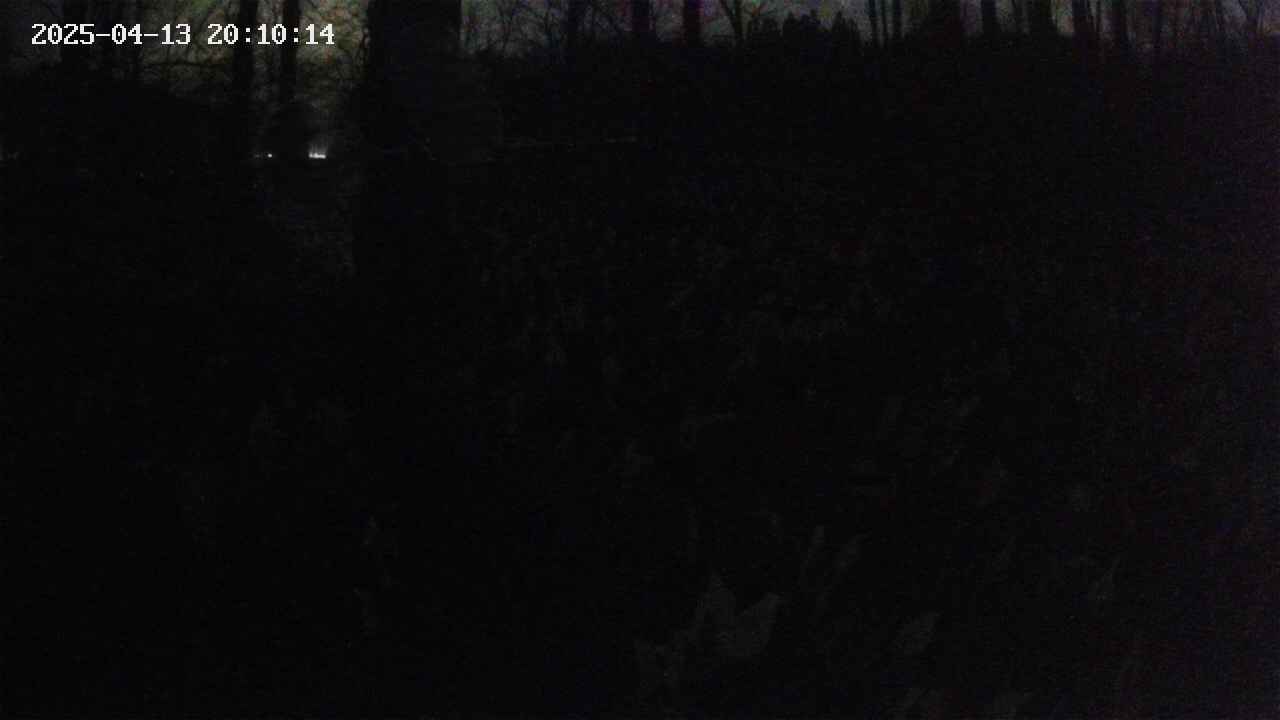 mizubasho1-20250413201015.jpg