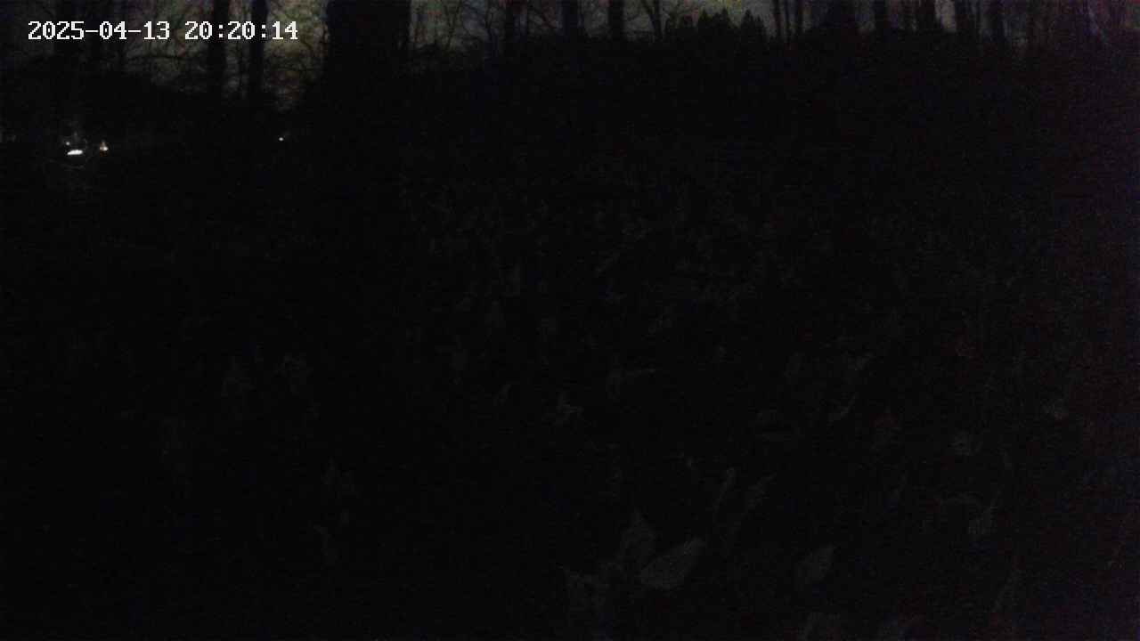 mizubasho1-20250413202015.jpg