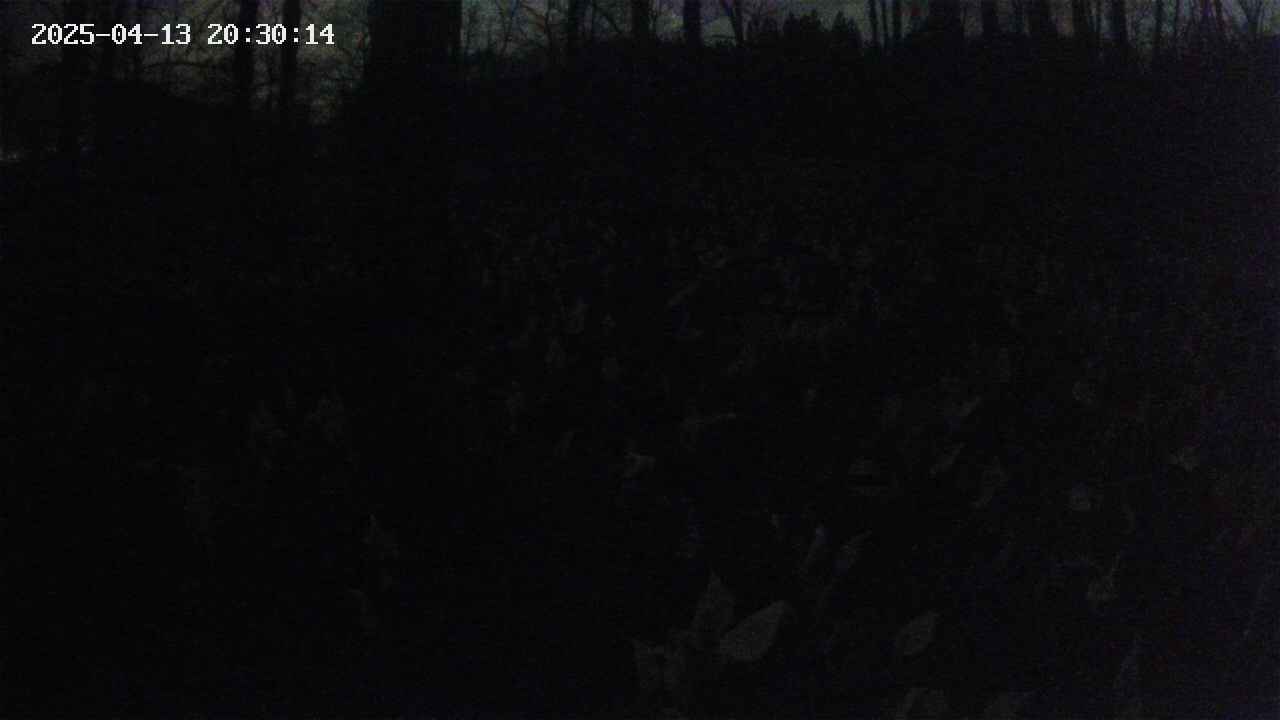 mizubasho1-20250413203016.jpg