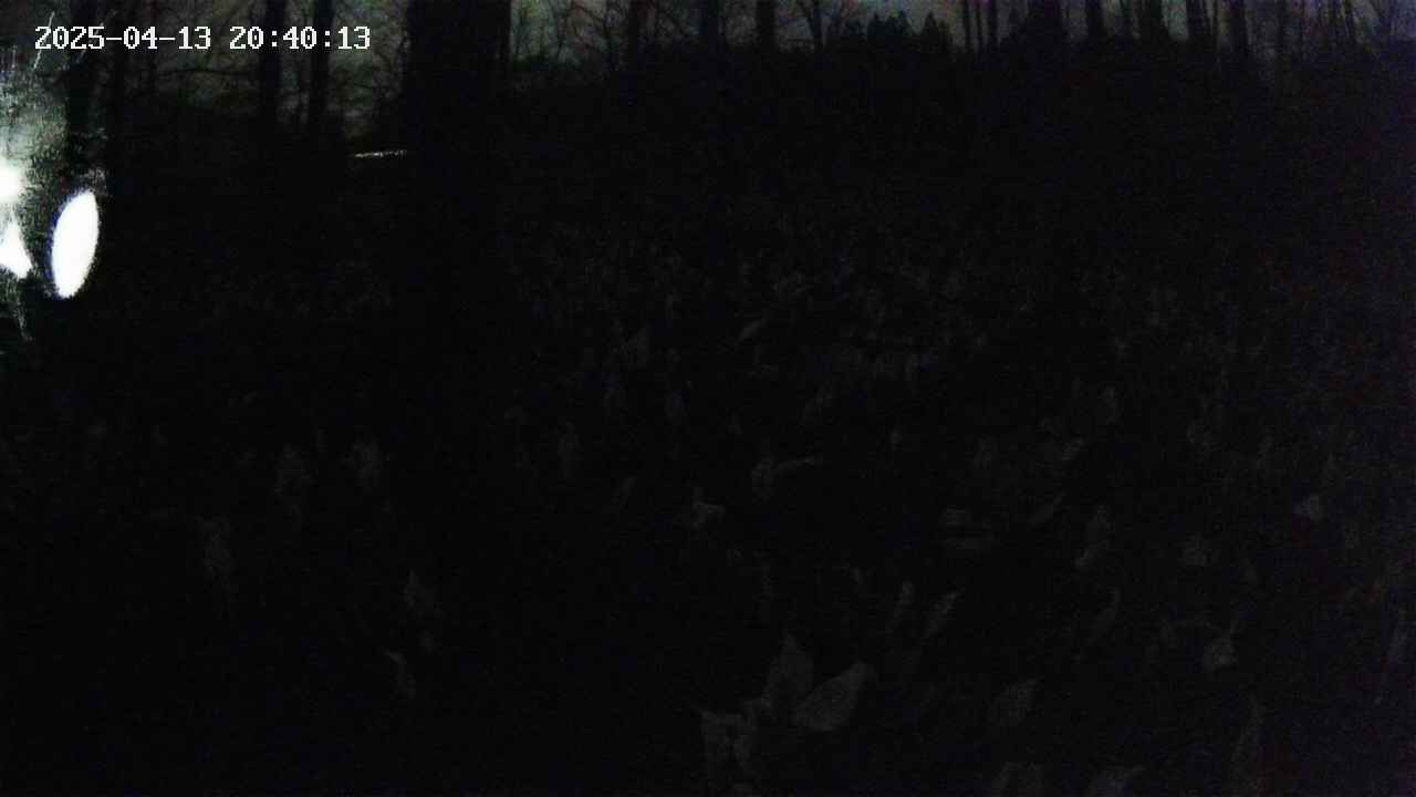 mizubasho1-20250413204015.jpg