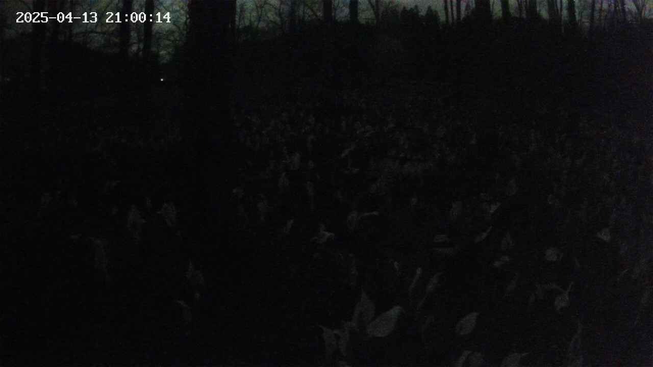 mizubasho1-20250413210015.jpg