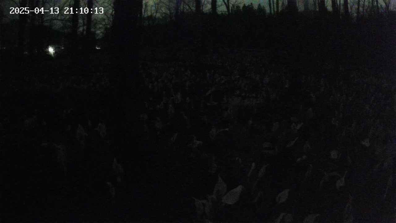 mizubasho1-20250413211015.jpg