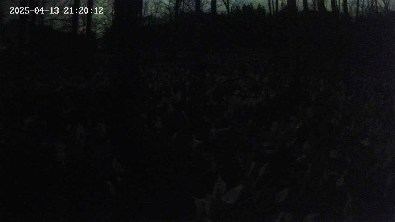 mizubasho1-20250413212014.jpg