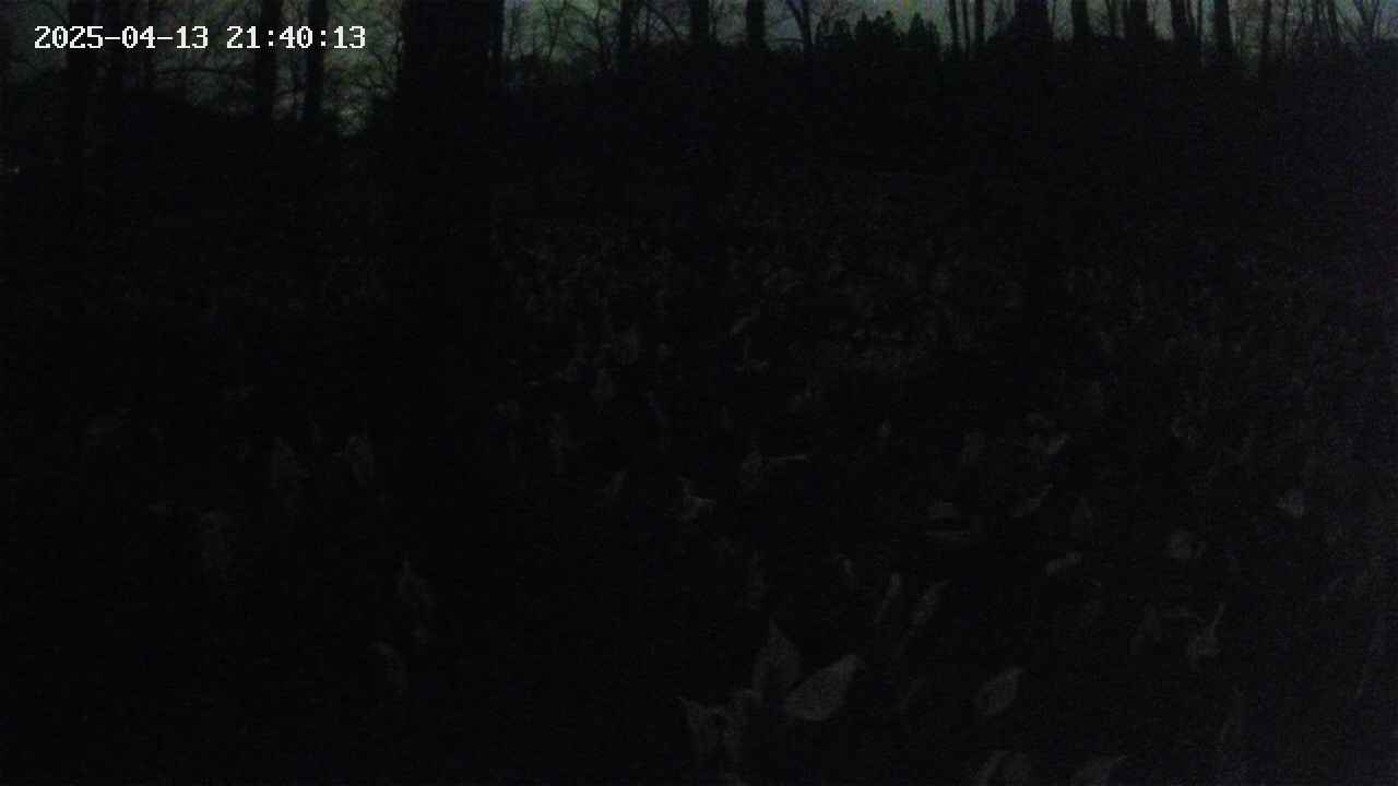 mizubasho1-20250413214014.jpg