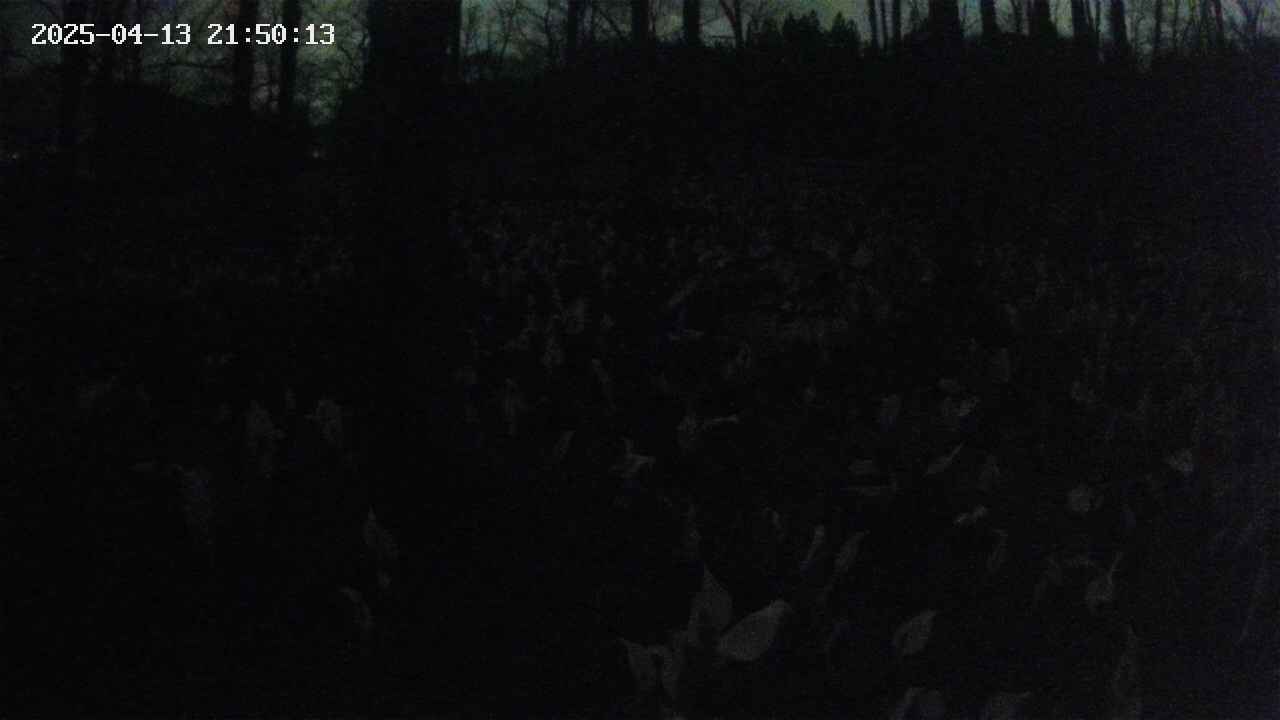 mizubasho1-20250413215015.jpg