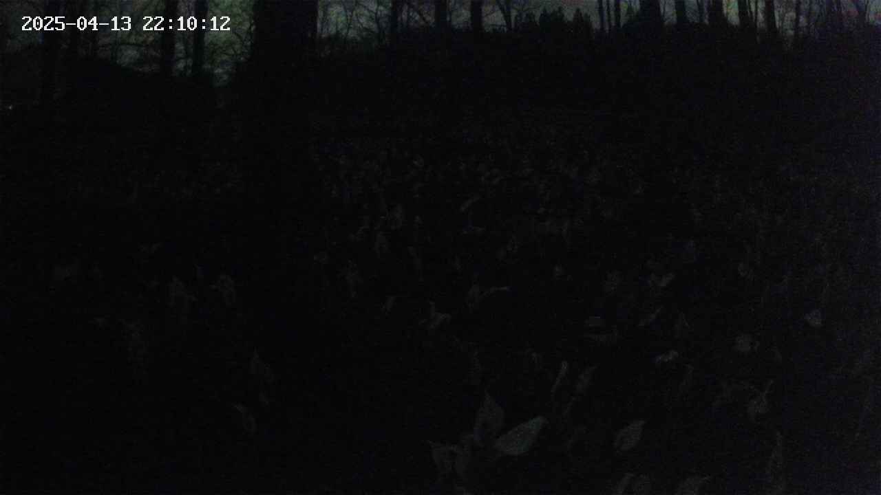 mizubasho1-20250413221014.jpg
