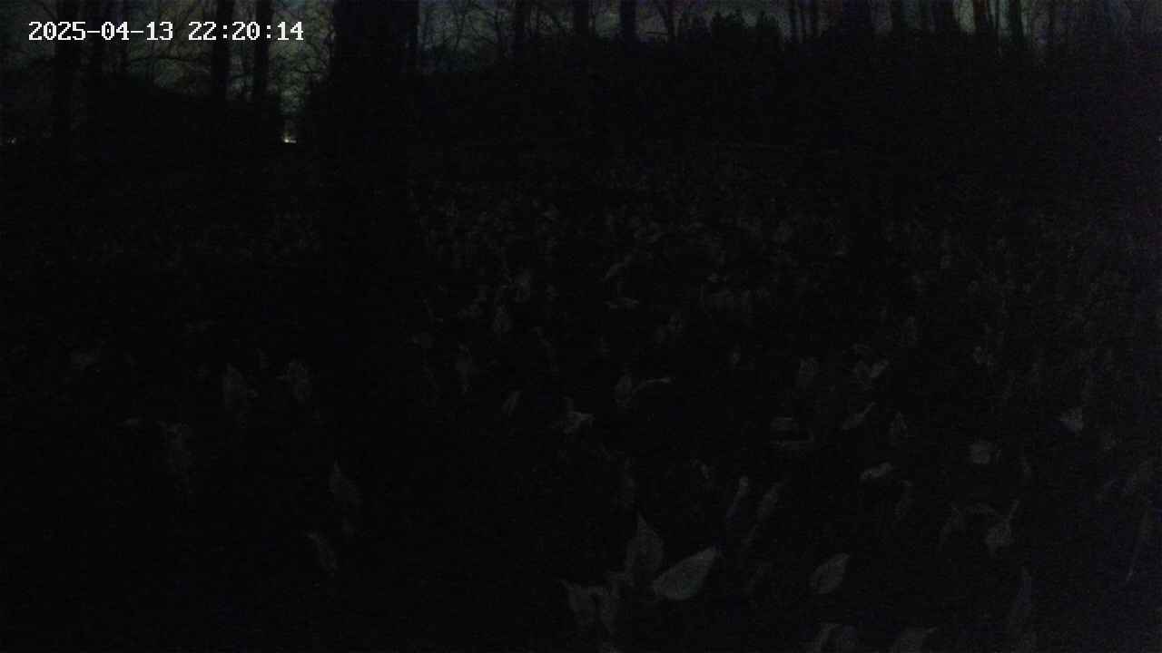mizubasho1-20250413222015.jpg