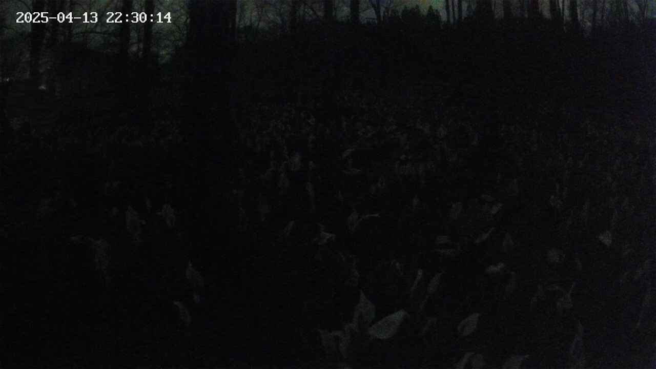 mizubasho1-20250413223016.jpg