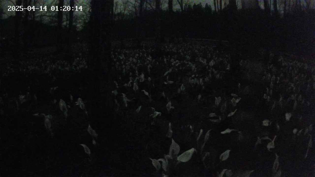 mizubasho1-20250414012015.jpg