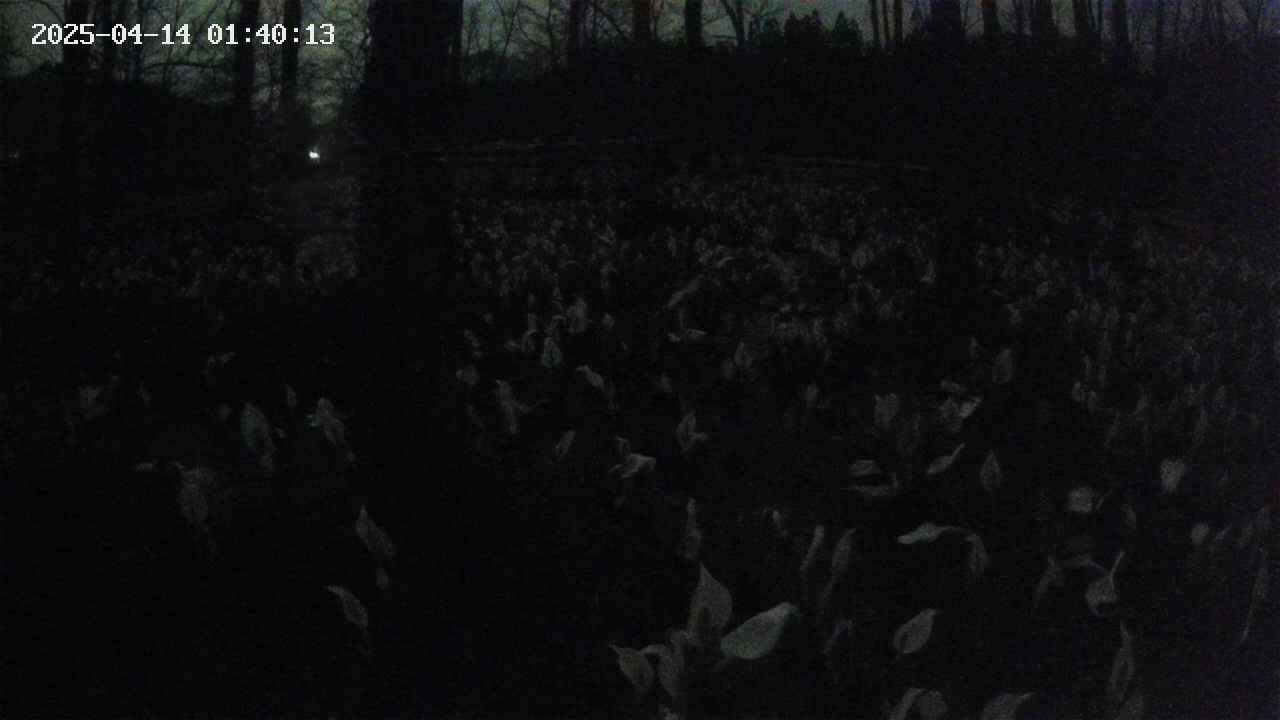 mizubasho1-20250414014014.jpg