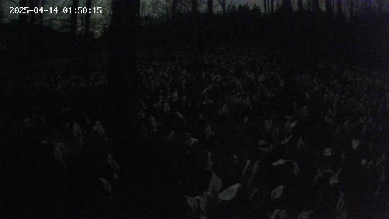 mizubasho1-20250414015016.jpg