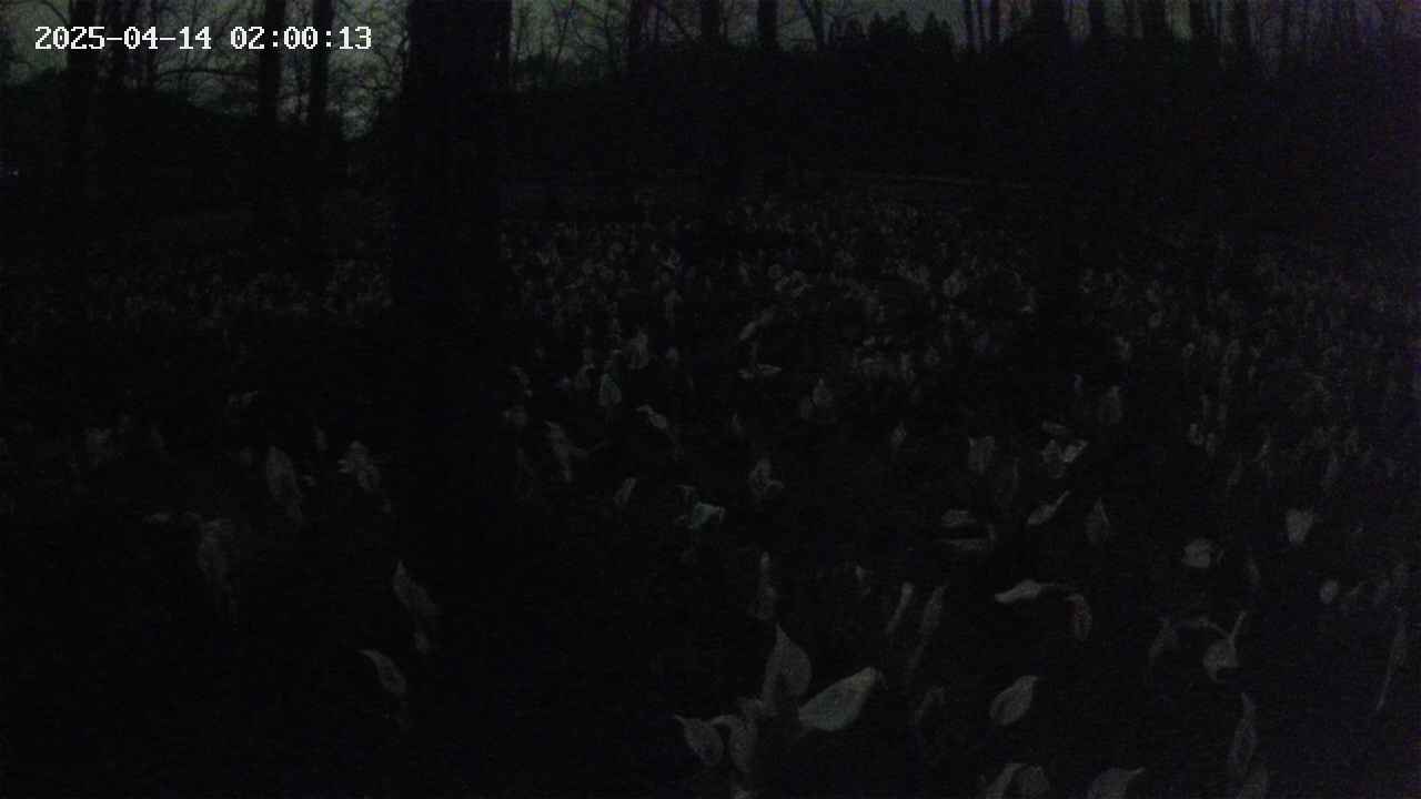 mizubasho1-20250414020014.jpg