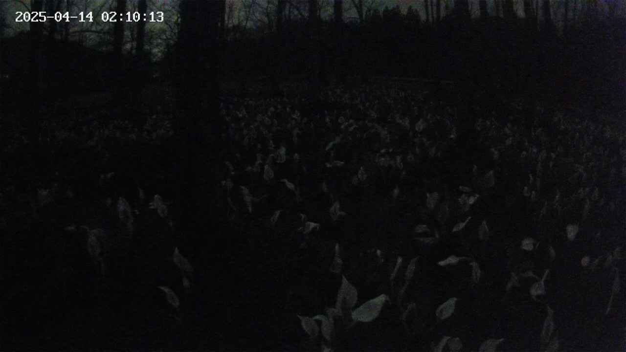 mizubasho1-20250414021014.jpg